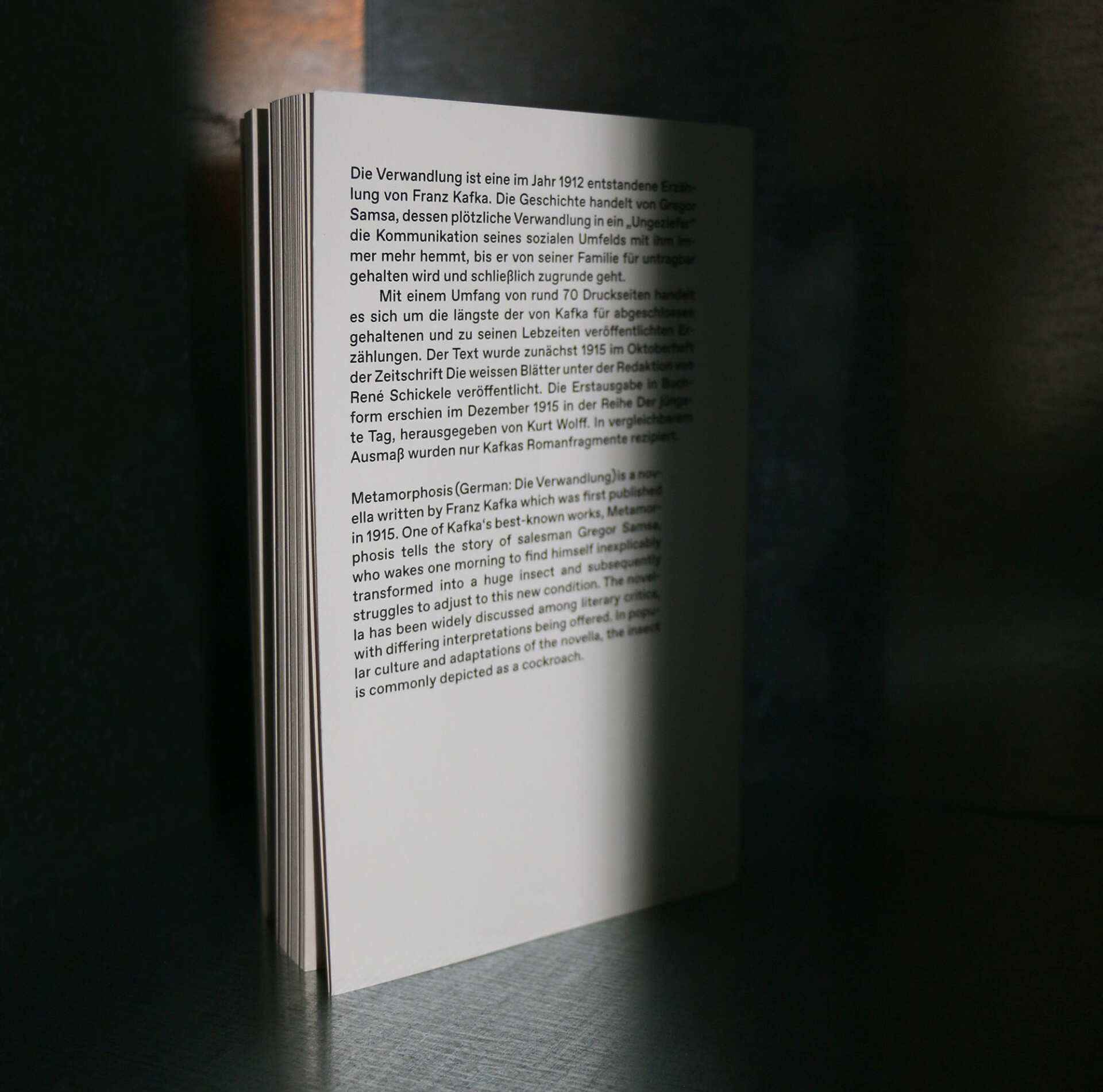 Ungebremst Typografie